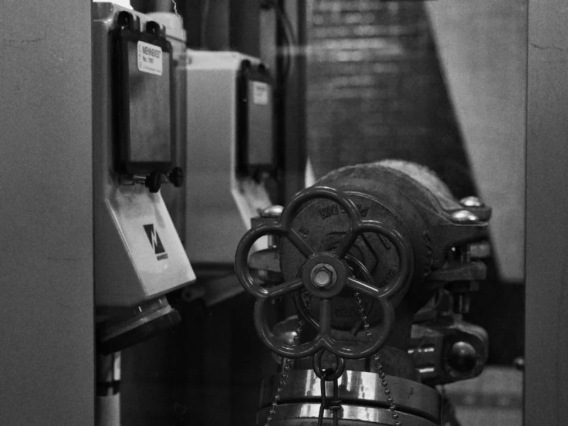 Mr Fetish Eagle, May 2025