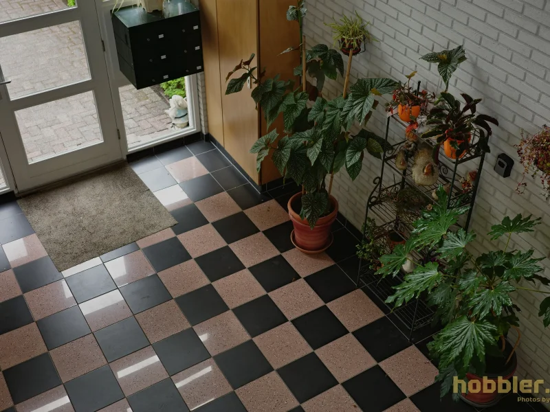 Mr Fetish Eagle, May 2025