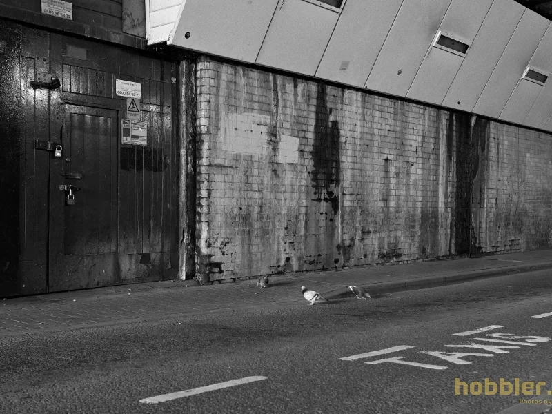 Newcastle Leather Weekend